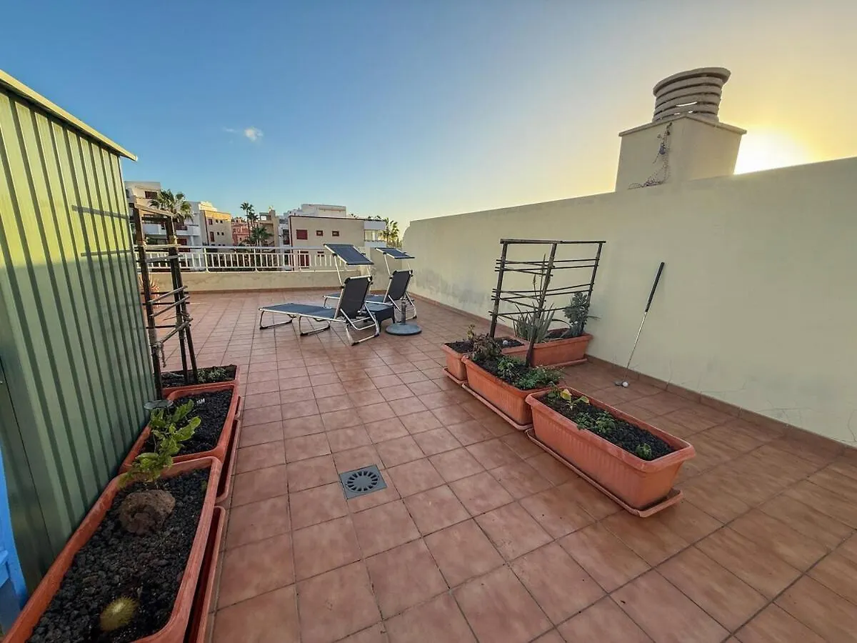 Stylish Palm Mar Apartment With Sunny Terrace Bravo'S House